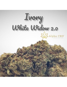 Fleurs de CBD Ivory White Widow 6,8% à  5,50€/gr